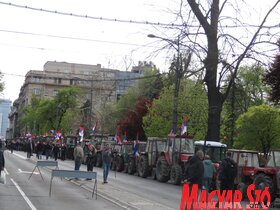 belgrád naggyűlés miting SNS SZHP