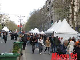 belgrád naggyűlés miting SNS SZHP
