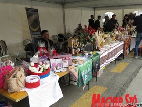 belgrád naggyűlés miting SNS SZHP