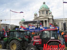 belgrád naggyűlés miting SNS SZHP