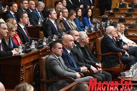 Szerb parlament skupstina Macut