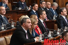 Szerb parlament skupstina Macut