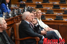 Szerb parlament skupstina Macut