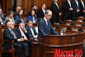 Szerb parlament skupstina Macut