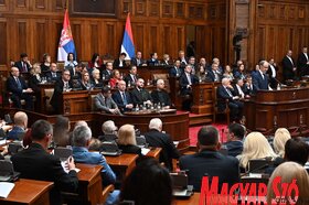 Szerb parlament skupstina Macut