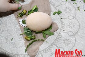 Húsvéti készülődés Szenttamáson