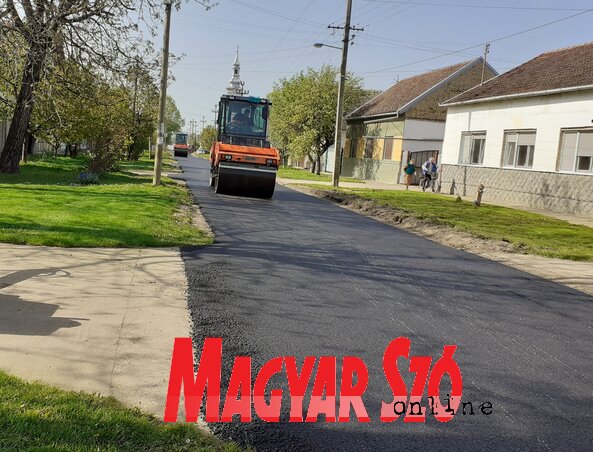 Dancsó Áron felvétele Dancsó Áron felvétele