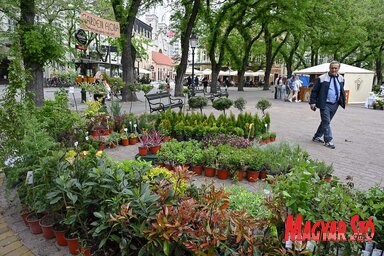 Garden Flora virágkiállítás és -vásár Szabadkán