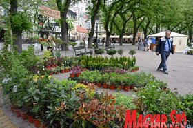 Garden Flora virágkiállítás és -vásár Szabadkán
