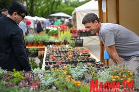 Garden Flora virágkiállítás és -vásár Szabadkán
