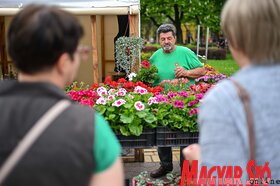 Garden Flora virágkiállítás és -vásár Szabadkán