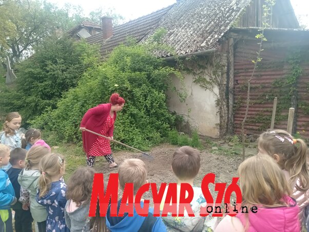 A rendezvény keretében Sihelnik Ágnes vezetésével egy kis veteményest is kialakítottak, amelybe a résztvevők uborkamagot ültettek (Turi Orsolya)