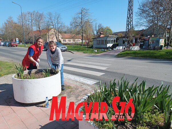 A falu szép arcáért munkálkodó Írisz-hölgyek (Kazinczy Paszterkó Diana felvétele) A falu szép arcáért munkálkodó Írisz-hölgyek (Kazinczy Paszterkó Diana felvétele)