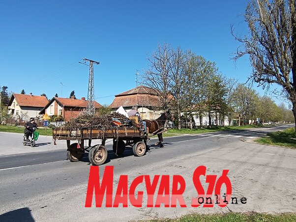 Traktorral és lovas kocsikkal is szállították az összegyűjtött szemetet (Kazinczy Paszterkó Diana felvétele) Traktorral és lovas kocsikkal is szállították az összegyűjtött szemetet (Kazinczy Paszterkó Diana felvétele)
