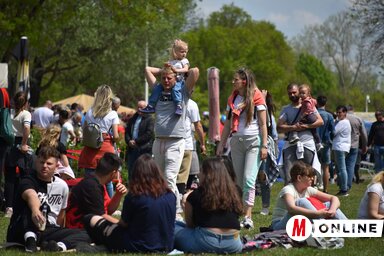 Molnár Edvárd archív