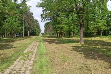 A hétvégén a közkedvelt zöld területeket kitakarították (Fotó: Vidács Hajnlka)