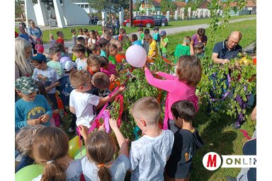A Thurzó Lajos Általános Iskola diákjai lufikkal és szalagokkal díszítették a májusfát (Gruik Zsuzsa felvétele)