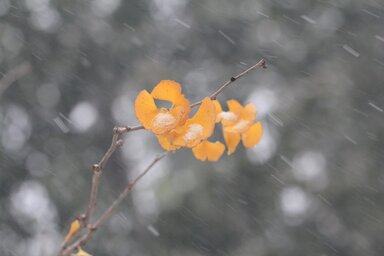 Illusztráció/Pixabay