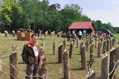 A tavalyi őzbaktrófea-kiállítás (Herceg Elizabetta/archív)