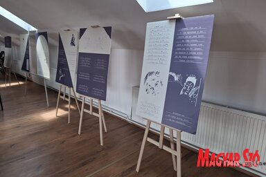 A kiállítás Franz Kafka utolsó éveit mutatja be (Fotó: Kállai Göblös Nikoletta felvétele)