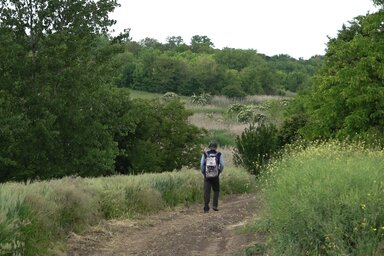 Pannon RTV/Raffai Csaba