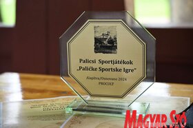 Vermes Lajos napok Palics