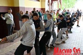 Vermes Lajos napok Palics