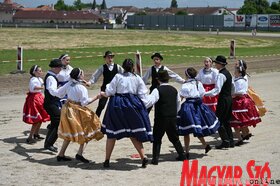 Vajdasági vágta 2025