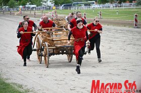 Vajdasági vágta 2025