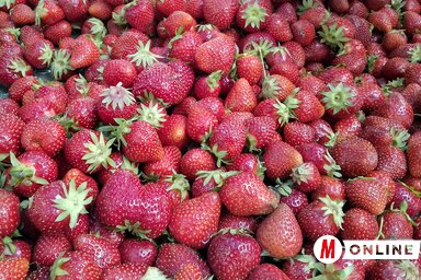 Benedek Miklós felvétele