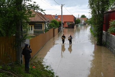 Kutyákat mentő helyi lakosok a Kovászna-patak által eláraszott utcán Nagyborosnyón (Fotó: MTI)