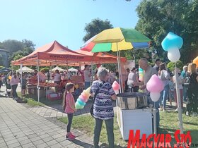 X. Topolyai Gyermeknap a Családfa civil szervezet szervezésében