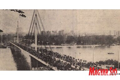 A híd ünnepélyes megnyitóján több tízezer polgár sétált át a szerémségi oldalra (Magyar Szó, 1981. október 24.)