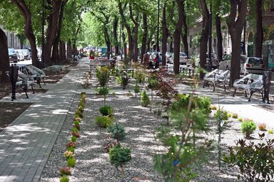 Molnár Edvárd felvétele