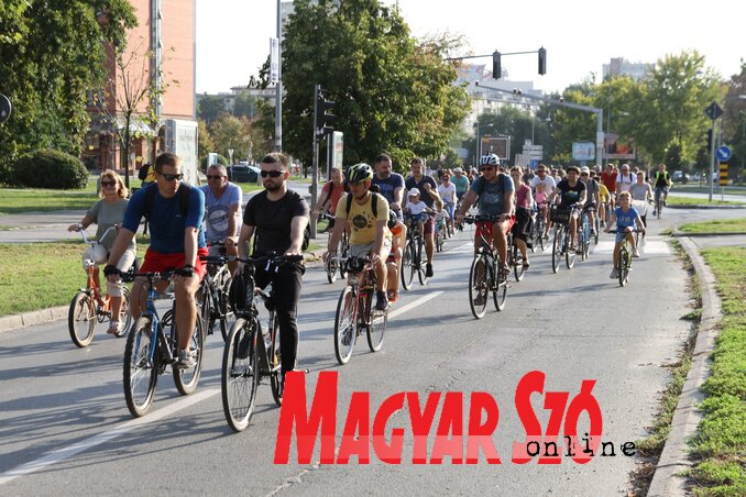 Diósi Árpád felvétele Diósi Árpád felvétele