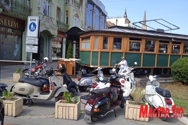 Újvidéken már néhány napja szokatlan darázszümmögés színezi meg a forgalom idegtépő zaját (Fotó: Szeli Balázs felvétele)