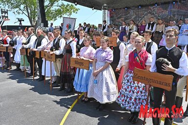 A résztvevők közösen énekelték a Himnuszt (Fotó: Ótos András felvétele)