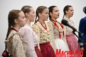 Talentum Tehetséggondozó Művészeti Egyesület új székházának avatása Szabadkán