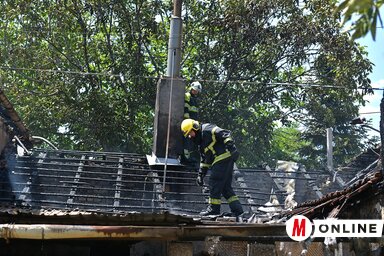 Gergely József felvétele