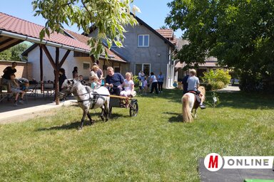 A programon azok a gyerekek vettek részt szüleik kíséretében, akik valamilyen fejlődési, illetve szellemi hátrányossággal élnek (Fotó: Gál Hermina felvétele)