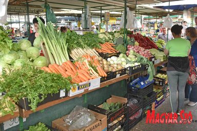 A Tržnica ma már tíz piac működéséért felel (Fotó: Dávid Csilla illusztrációja)