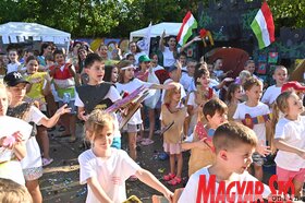 nyári tábor petőfi mmk