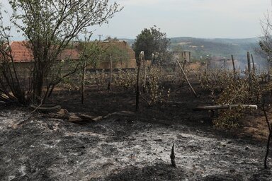 A lángok megfékezésében több mint háromezren vettek részt (Fotó: Beta)