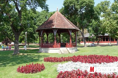 Molnár Edvárd archív