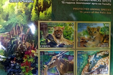 forrás: A Palicsi Állatkert Facebook-oldala