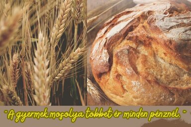 Fotó: a kezdeményezés plakátja