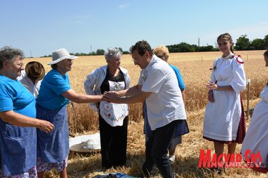 Megegyezéssel végződött a „gazda”  és az aratócsapat alkuja (Fotó: Paraczky László)
