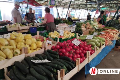 Gál Hermina felvétele