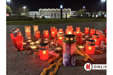 Korábbi felvétel/Magyar Szó Online
