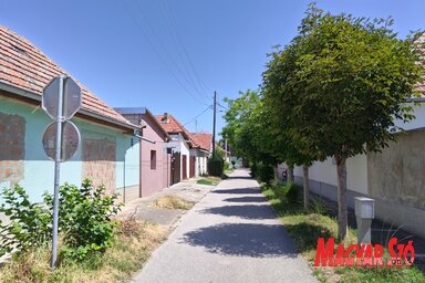 Az utca egy XIX. században élt bajai szerb író nevét viseli / Patyi Szilárd felvétele